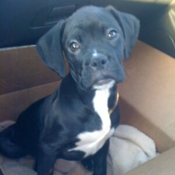 Meet your Posher, Mario - Picture 2 of 3